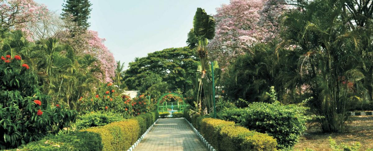 NATIONAL INSTITUTE OF MENTAL HEALTH AND NEURO SCIENCES